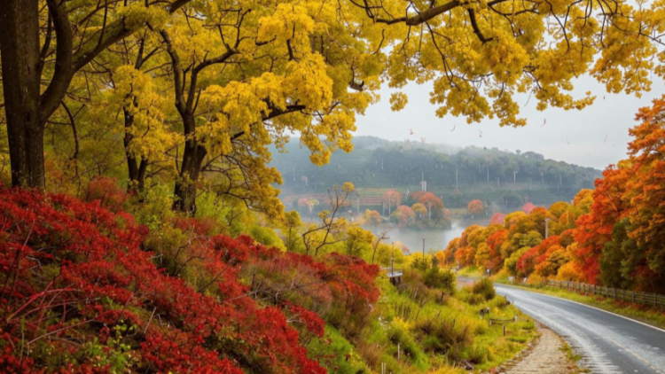 Синоптики Шувалов и Тишковец предупредили россиян о резком похолодании с 23 октября