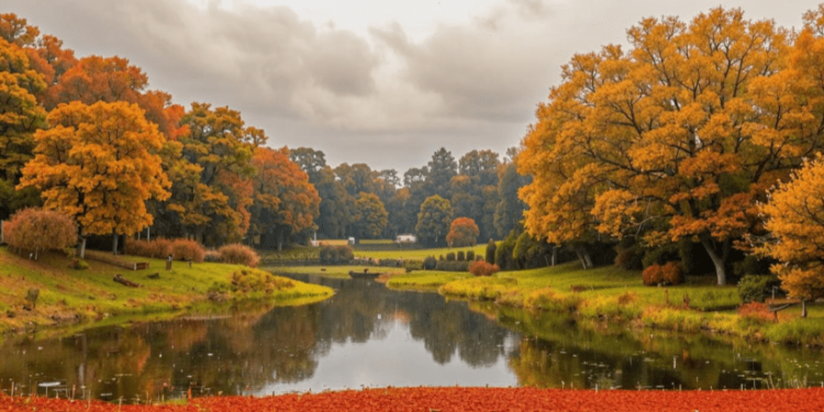 В среду в Рязанской области ожидается небольшой дождь и до +14 градусов