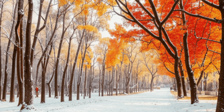 Метеоролог Шувалов: в конце октября в Центральной России ожидается снег