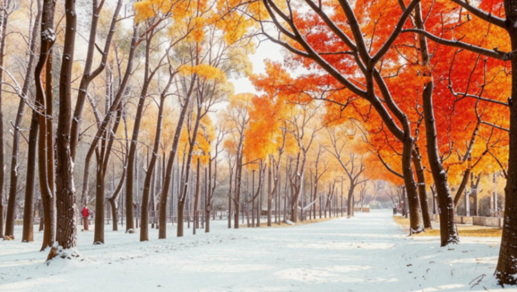 Метеоролог Шувалов: в конце октября в Центральной России ожидается снег