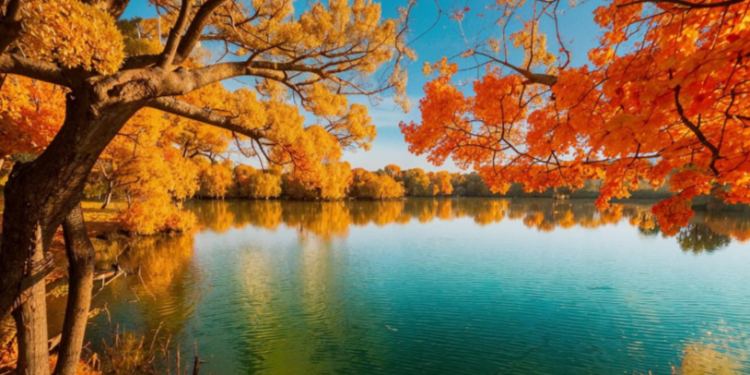 Метеоролог Позднякова: в выходные в Центральной России ожидается комфортная погода