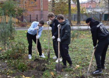 В сквере на улице Павлова рязанцы высадили 25 саженцев деревьев
