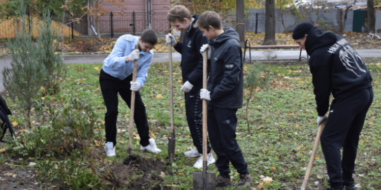 В сквере на улице Павлова рязанцы высадили 25 саженцев деревьев