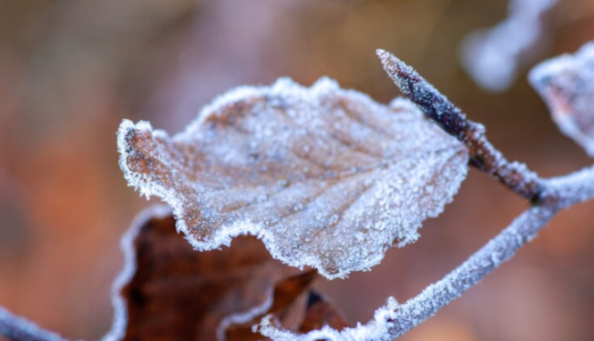 Рязанское МЧС выпустило метеопредупреждение из-за резкого ухудшения погоды 1 и 2 ноября Рязанское МЧС выпустило метеопредупреждение из-за резкого ухудшения погоды 1 и 2 ноября