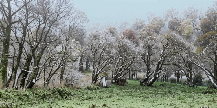 Синоптик Тишковец предупредил россиян о надвигающемся циклоне «Мартина»