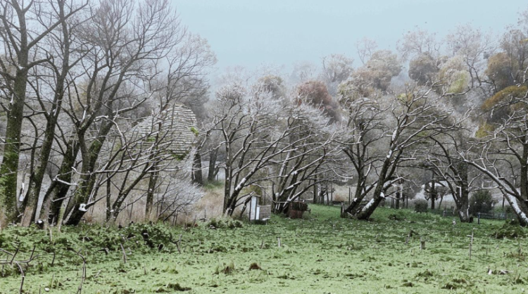 Синоптик Тишковец предупредил россиян о надвигающемся циклоне "Мартина"