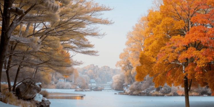 Метеоролог Макарова: в День народного единства в Центральной России выпадет снег