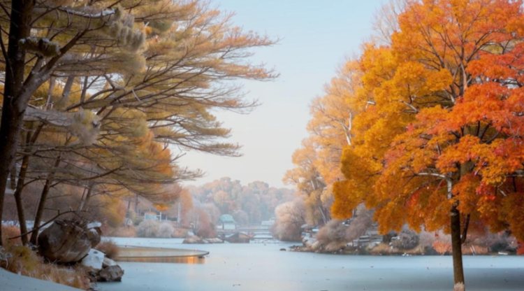 Метеоролог Макарова: в День народного единства в Центральной России выпадет снег