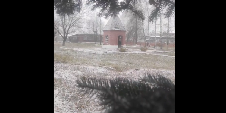 В Ермишинском и Касимовском районах 1 ноября выпал снег