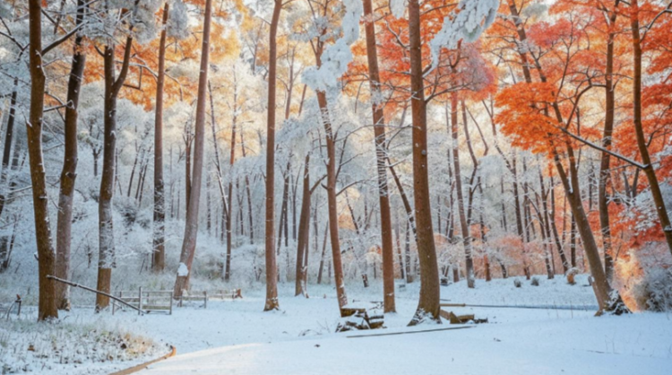 В субботу в Рязанской области ожидается мокрый снег и до +7 градусов