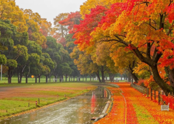 За минувшие сутки в Рязанском регионе выпало почти 12 мм осадков