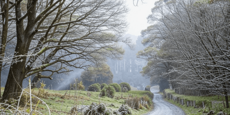 В День народного единства в Рязанской области ожидается мокрый снег и до -2 градусов