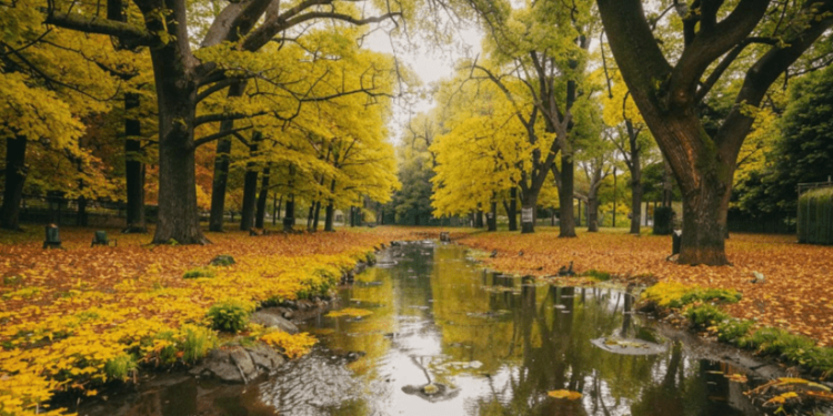 Тишковец: тепло вернется в Центральную Россию в выходные дни