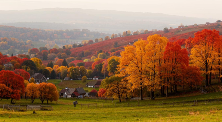 В Рязанскую область возвращается осенняя погода