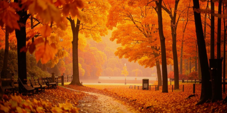 Метеоролог Позднякова напомнила россиянам о возвращении тепла в выходные Метеоролог Позднякова напомнила россиянам о возвращении тепла в выходные