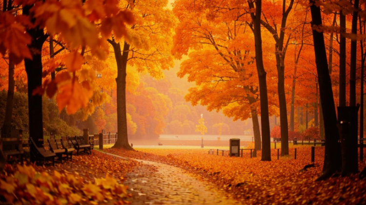 Метеоролог Позднякова напомнила россиянам о возвращении тепла в выходные