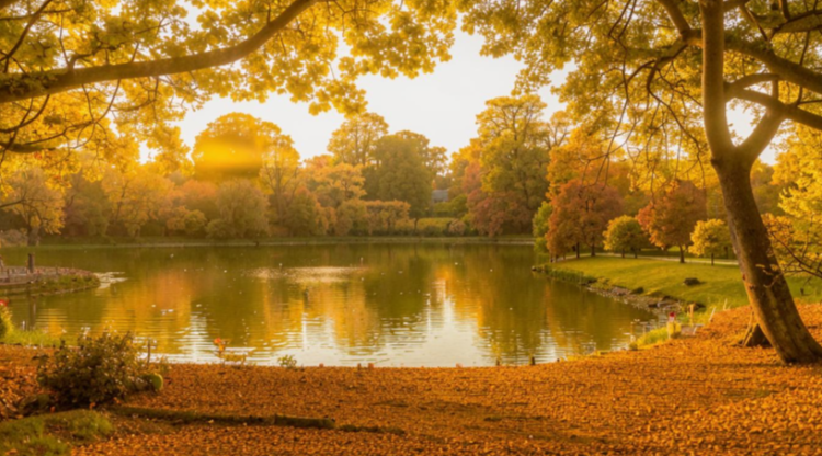 В пятницу в Рязанской области ожидается до +6 градусов