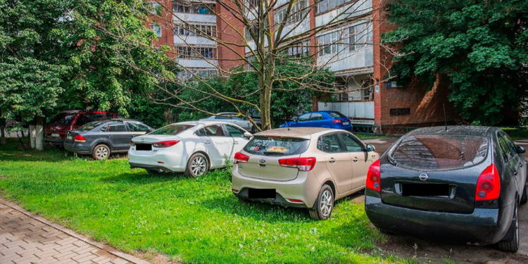 С начала 2024 года в Рязани оштрафованы 3333 водителя, парковавшихся в зеленых зонах