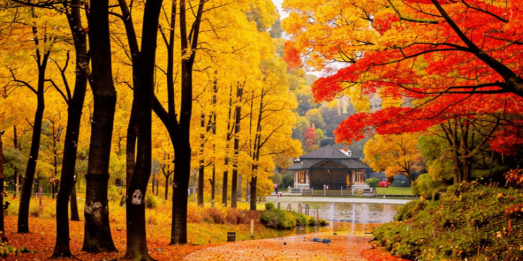 В субботу в Рязанской области ожидается до +8 градусов