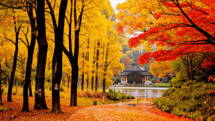 В субботу в Рязанской области ожидается до +8 градусов