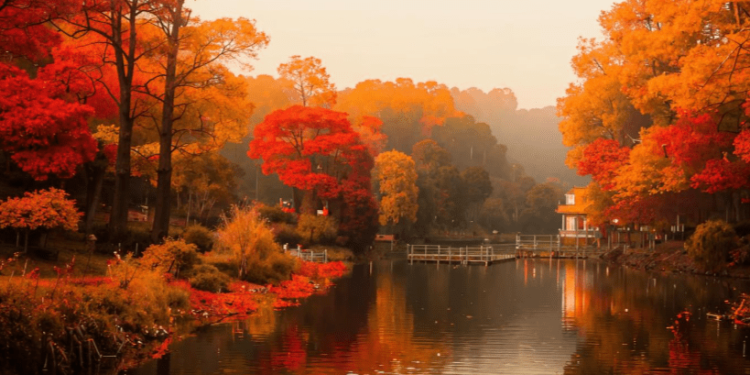 10 ноября в Рязанской области ожидается до +7 градусов