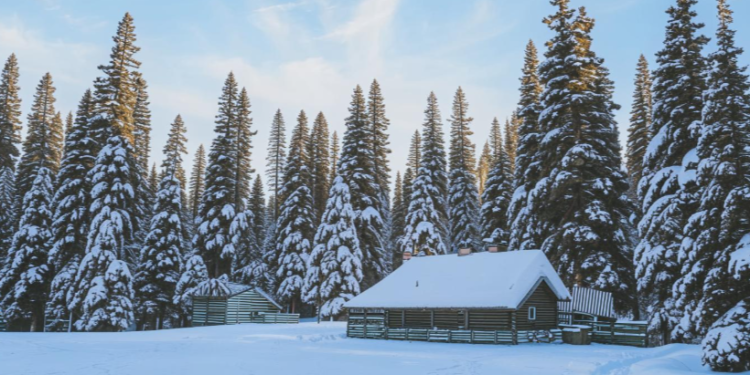 Синоптик Тишковец: зима в Центральной России будет будет мягкой и снежной