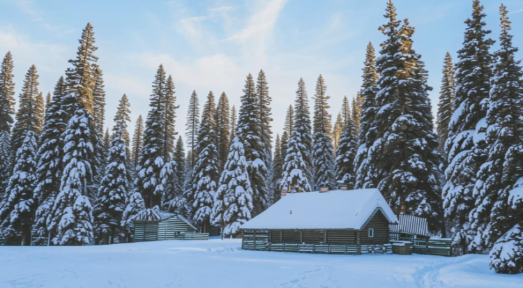 Синоптик Тишковец: зима в Центральной России будет будет мягкой и снежной