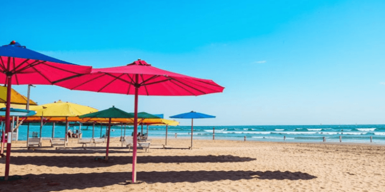 В рязанской Солотче в 2025 году планируют обустроить еще один пляж