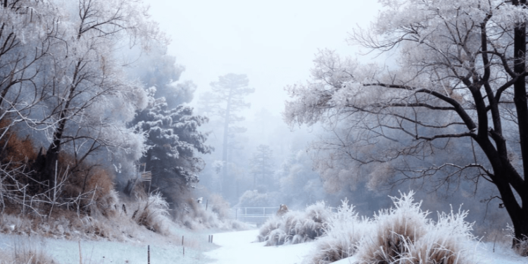 Метеоролог Леус рассказал, когда в Центральной России наступит метеорологическая зима