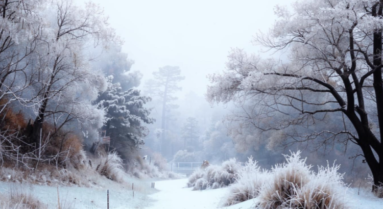 Метеоролог Леус рассказал, когда в Центральной России наступит метеорологическая зима