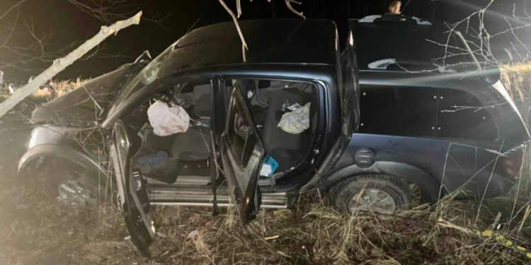 В Пителинском районе легковушка врезалась в дерево, пострадали три человека В Пителинском районе легковушка врезалась в дерево, пострадали три человека