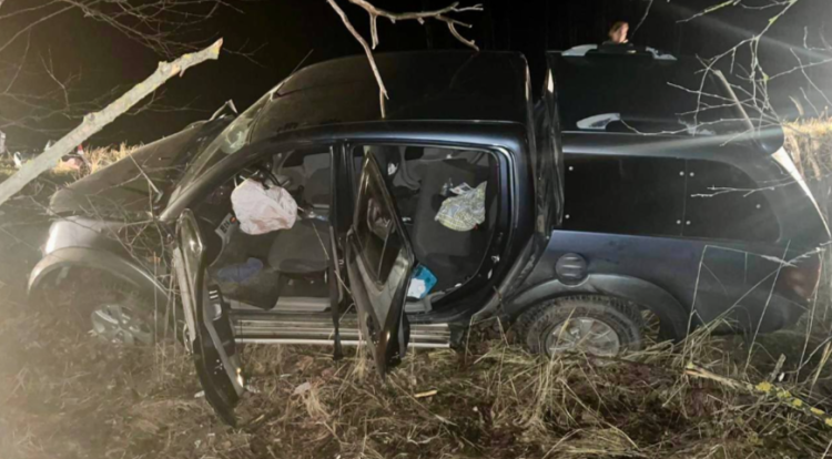 В Пителинском районе легковушка врезалась в дерево, пострадали три человека