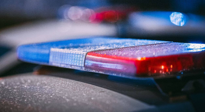 13 ноября на рязанских дорогах пройдет рейд по поддельным номерам