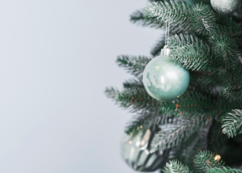 С 15 ноября в Рязани стартует благотворительная акция «Елка желаний»