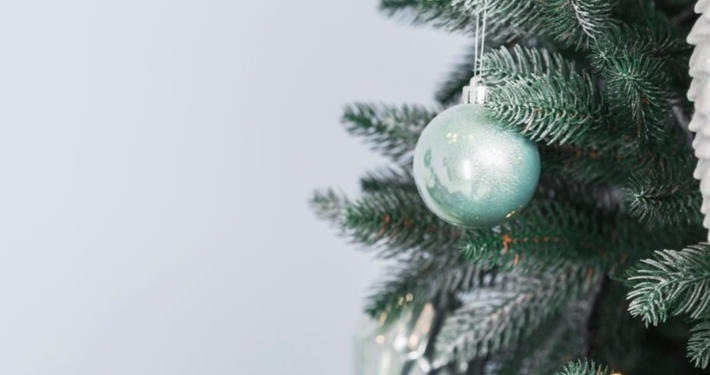 С 15 ноября в Рязани стартует благотворительная акция «Елка желаний»