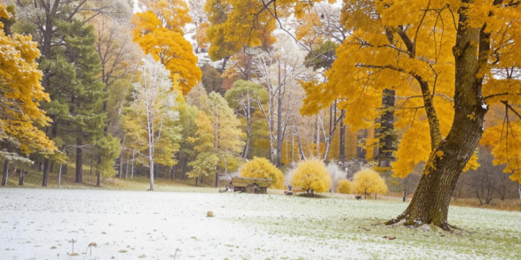 В пятницу в Рязанской области ожидается мокрый снег и до +3 градусов