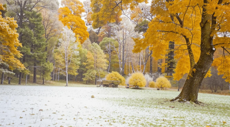 В пятницу в Рязанской области ожидается мокрый снег и до +3 градусов