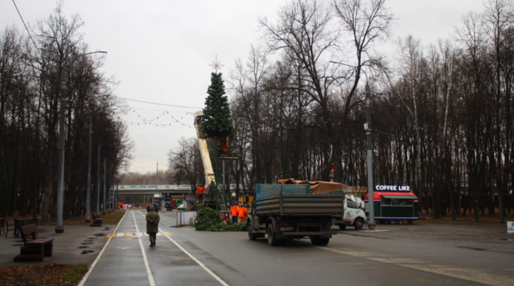 В Рязани приступили к установке новогодних елей