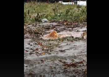 15 ноября на улице Новоселов прорвало водопровод