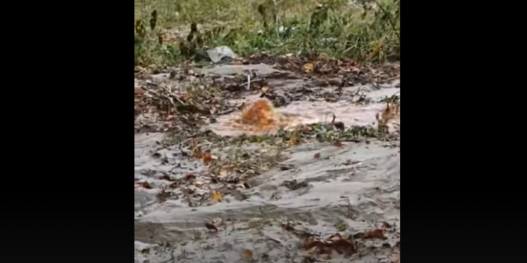 15 ноября на улице Новоселов прорвало водопровод