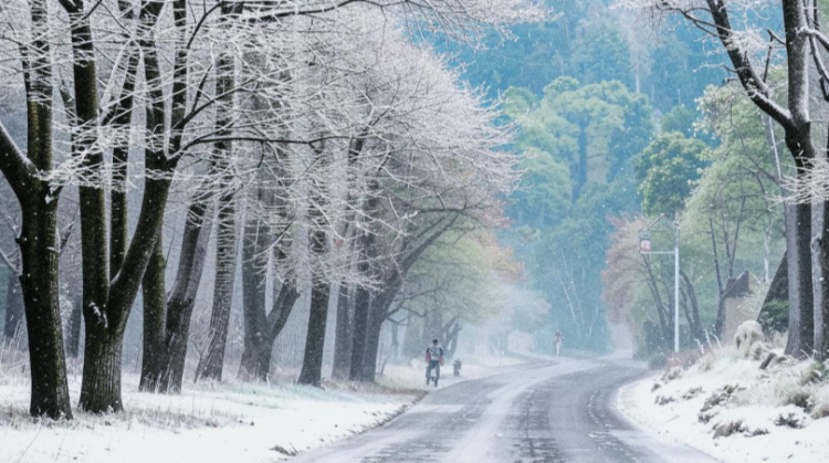 В субботу в Рязанской области ожидается мокрый снег и до +4 градусов