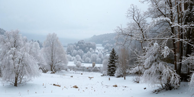 Метеоролог Позднякова: зима в Центральной России будет теплой