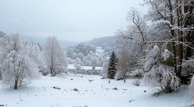 Метеоролог Позднякова: зима в Центральной России будет теплой