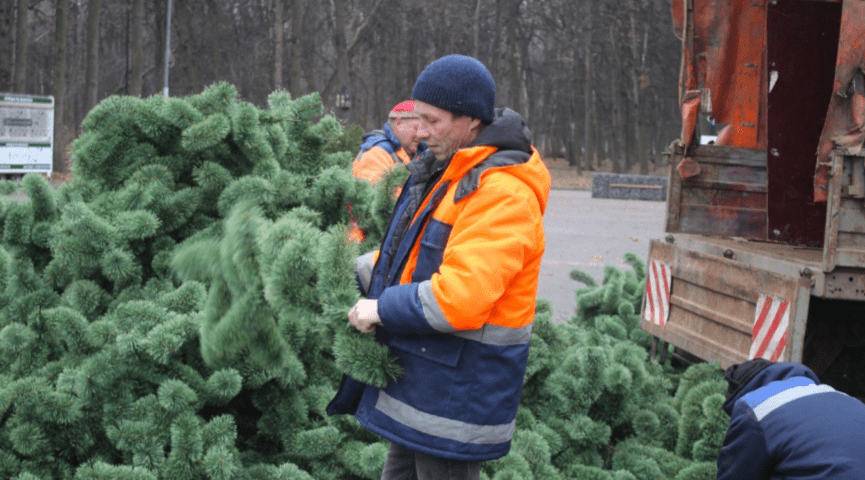 В рязанском ЦПКиО устанавливают 12-метровую новогоднюю ель