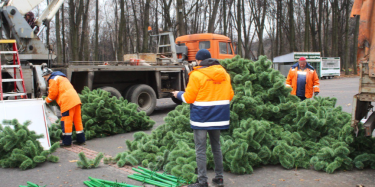 В рязанском ЦПКиО устанавливают 12-метровую новогоднюю ель