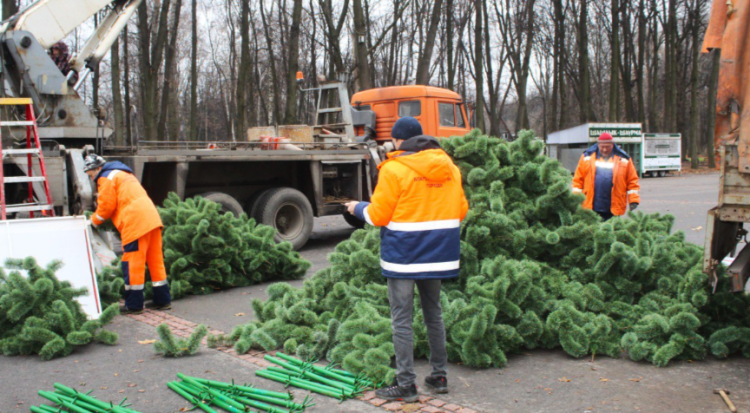 В рязанском ЦПКиО устанавливают 12-метровую новогоднюю ель