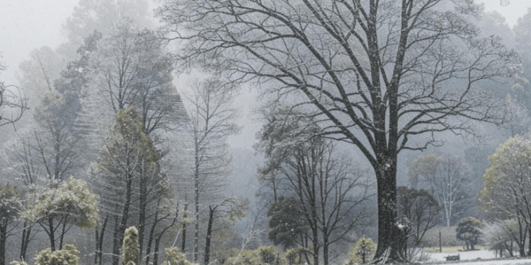 В четверг в Рязанской области ожидается мокрый снег и до +9 градусов