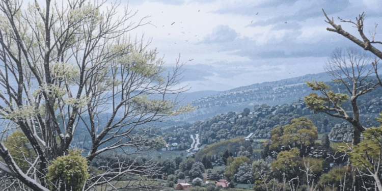 Синоптик Вильфанд: с 21 ноября в Центральной России погода резко изменится