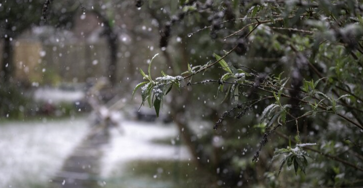 В Рязани введен особый режим реагирования чрезвычайных служб из-за непогоды В Рязани введен особый режим реагирования чрезвычайных служб из-за непогоды