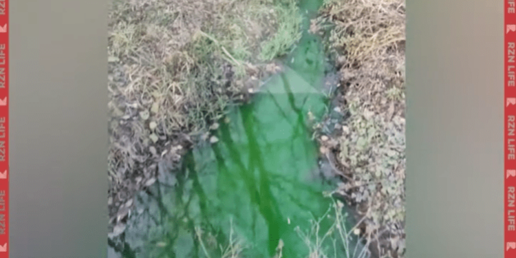 В Рязани ручей Паника окрасился в ярко-зеленый цвет